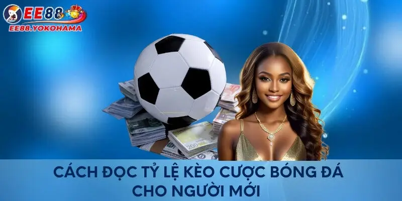 Cách đọc tỷ lệ kèo cược bóng đá cho người mới